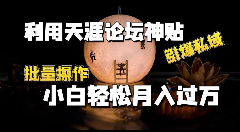 利用天涯论坛神贴，引爆私域，批量操作，小白轻松月入过w【揭秘】-搞个副业