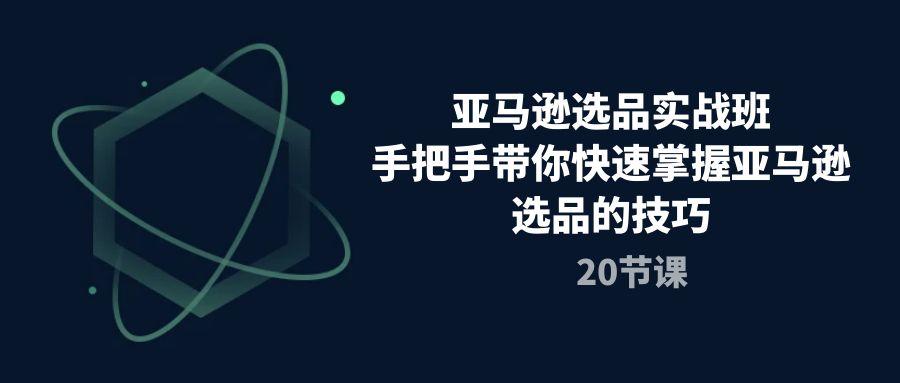 亚马逊选品实战班，手把手带你快速掌握亚马逊选品的技巧(20节课-搞个副业