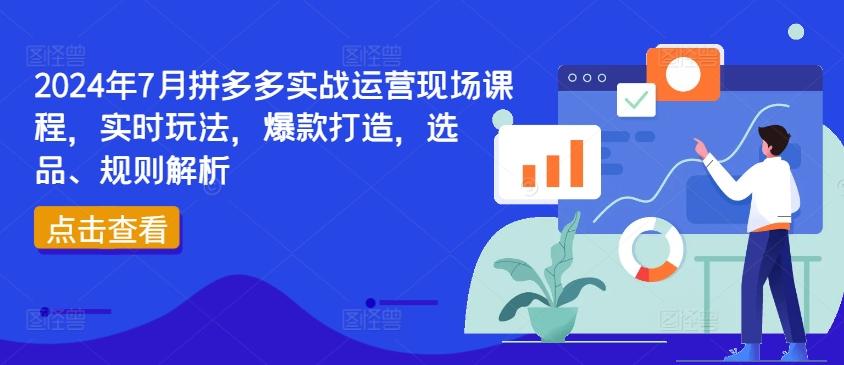 2024年7月拼多多实战运营现场课程，实时玩法，爆款打造，选品、规则解析-搞个副业
