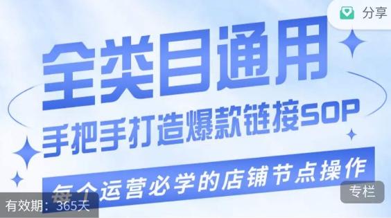 单品爆款打造实操运营，单品爆款从“0”-“1”手把手演练运营步骤-搞个副业