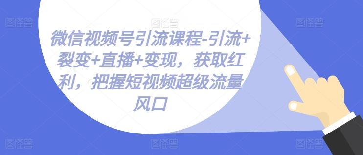 微信视频号引流课程-引流+裂变+直播+变现，获取红利，把握短视频超级流量风口-搞个副业