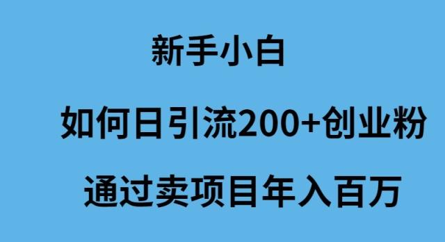 (9668期)新手小白如何日引流200+创业粉通过卖项目年入百万-搞个副业