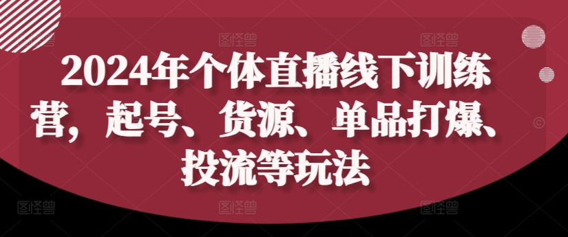 2024年个体直播训练营，起号、货源、单品打爆、投流等玩法-搞个副业