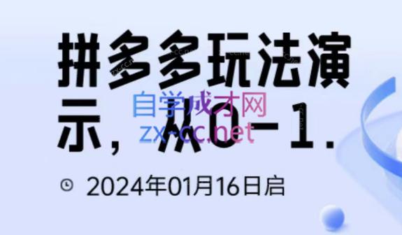吴老师·拼多多从选品到截流到付费的玩法技巧-搞个副业