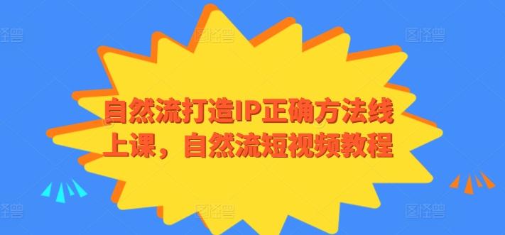 自然流打造IP正确方法线上课，自然流短视频教程-搞个副业