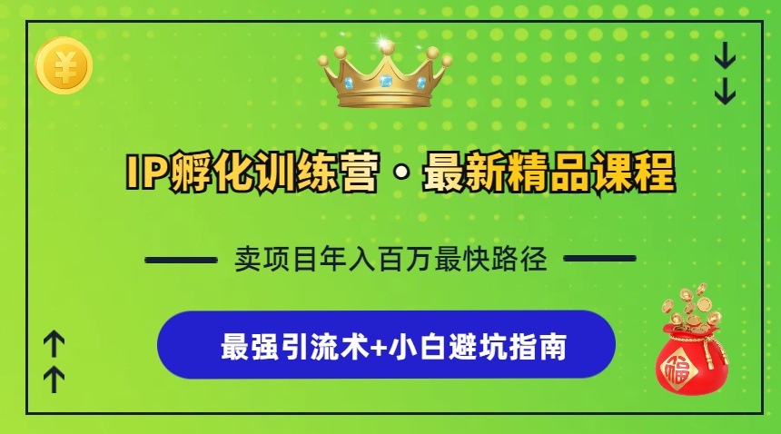 IP孵化训练营，知识付费全流程+最强引流术+小白避坑指南-搞个副业