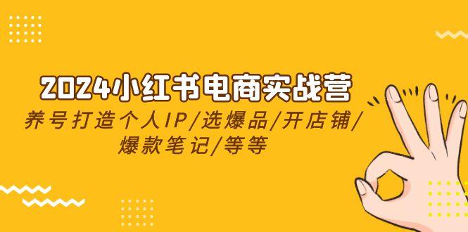 2024小红书电商实战营，养号打造IP/选爆品/开店铺/爆款笔记/等等(24节)-搞个副业