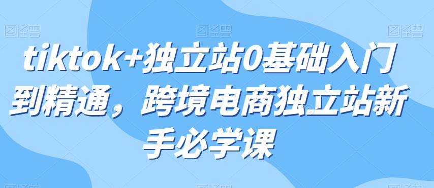 tiktok+独立站0基础入门到精通，跨境电商独立站新手必学课-搞个副业