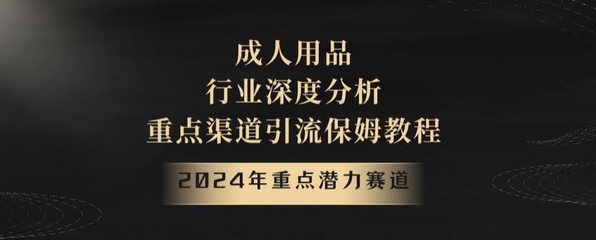 2024年重点潜力赛道，成人用品行业深度分析，重点渠道引流保姆教程【揭秘】-搞个副业