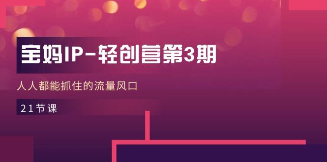 宝妈IP-轻创营第3期，人人都能抓住的流量风口(21节课-搞个副业