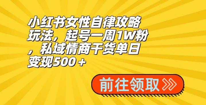 小红书女性自律攻略玩法，起号一周1W粉，私域情商干货单日变现500＋-搞个副业
