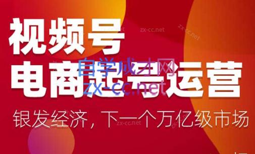 陈大黑牛·视频号电商起号运营课(更新到24年5月)-搞个副业