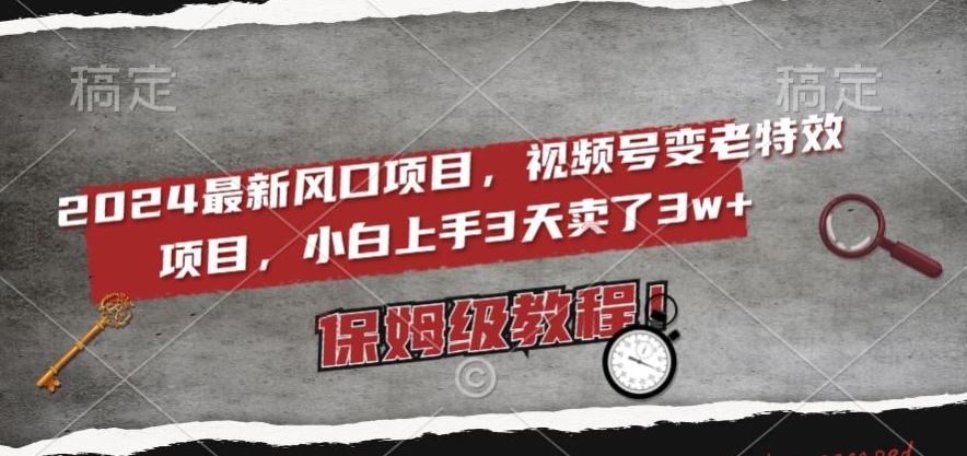 2024最新风口项目，视频号变老特效项目，电脑小白上手3天卖了3w+，保姆级教程【揭秘】-搞个副业