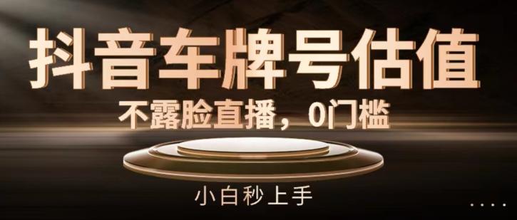 抖音车牌号估值，不露脸直播，0门槛，小白秒上手【揭秘】-搞个副业