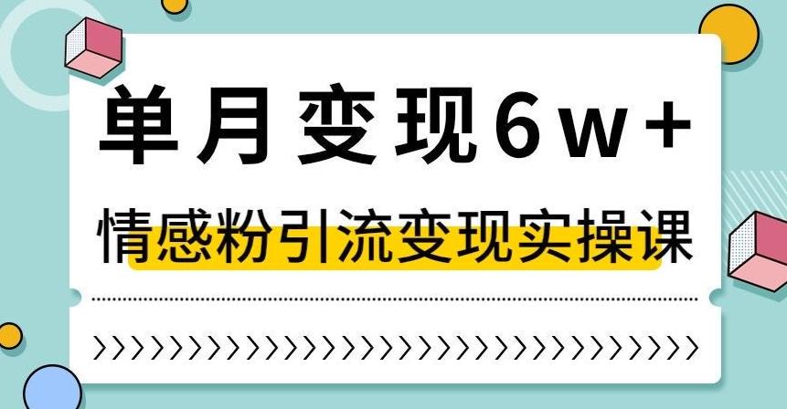 单月变现6W+，抖音情感粉引流变现实操课，小白可做，轻松上手，独家赛道【揭秘】-搞个副业