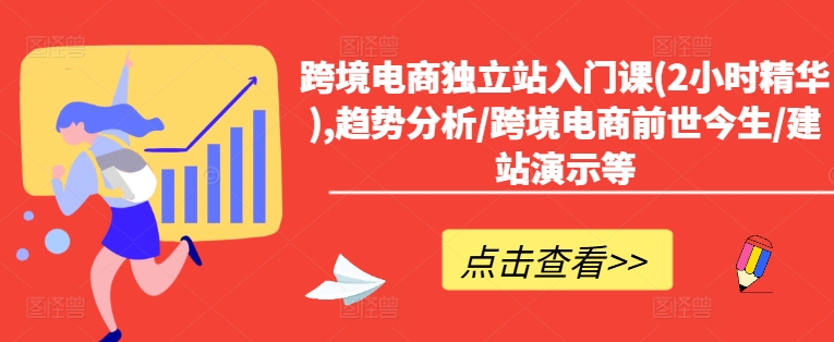 跨境电商独立站入门课(2小时精华),趋势分析/跨境电商前世今生/建站演示等-搞个副业