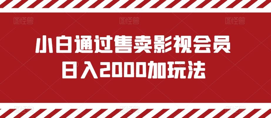 小白通过售卖影视会员日入2000加玩法-搞个副业