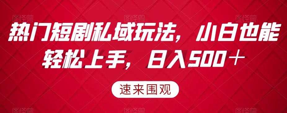 热门短剧私域玩法，小白也能轻松上手，日入500＋-搞个副业