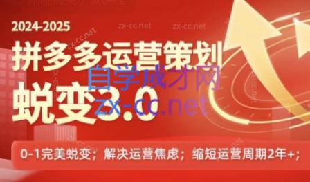 大力老师·2024拼多多运营策略蜕变3.0-搞个副业