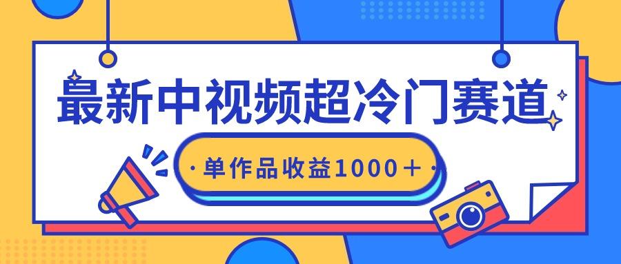 (9275期)最新中视频超冷门赛道，轻松过原创，单条视频收益1000＋-搞个副业