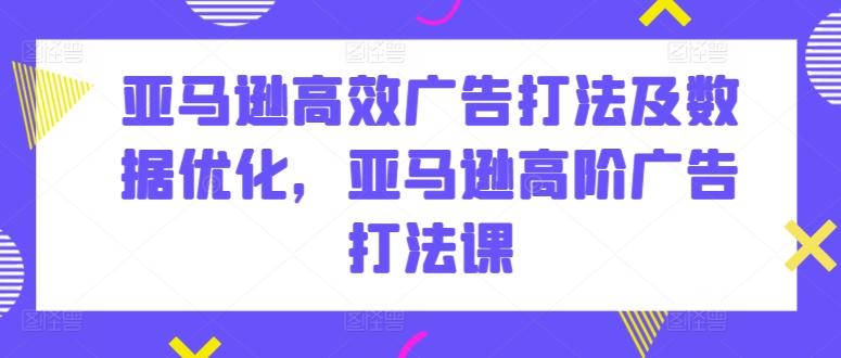 亚马逊高效广告打法及数据优化，亚马逊高阶广告打法课-搞个副业