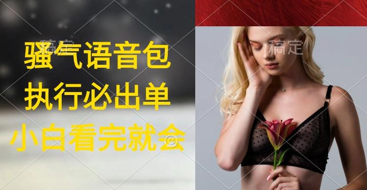 (9589期)执行就出单，日入2000+，超火骚气语音包，小白看完课程就能马上实操-搞个副业