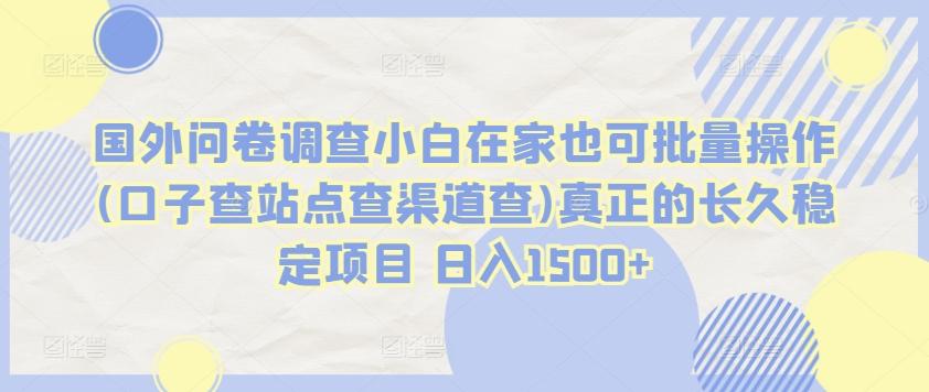 国外问卷调查小白在家也可批量操作(口子查站点查渠道查)真正的长久稳定项目 日入1500+【揭秘】-搞个副业
