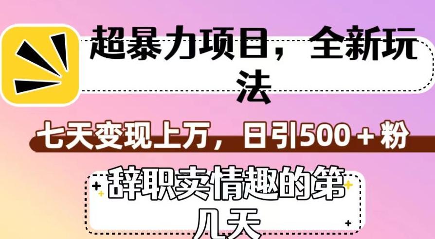 超暴利项目，全新玩法（辞职卖情趣的第几天），七天变现上万，日引500+粉【揭秘】-搞个副业
