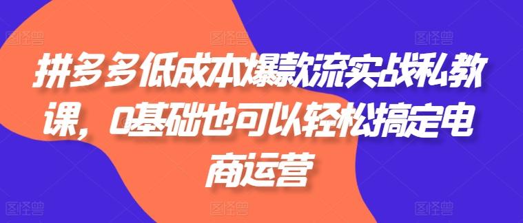 拼多多低成本爆款流实战私教课，0基础也可以轻松搞定电商运营-搞个副业