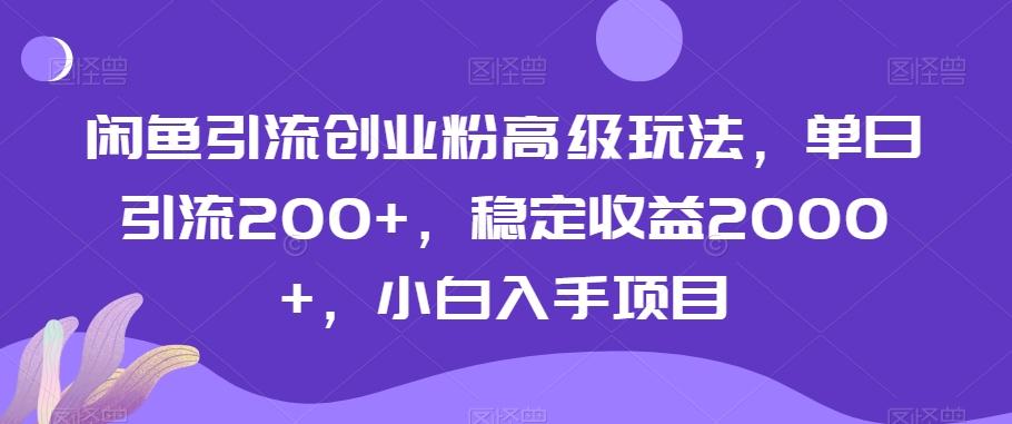 闲鱼引流创业粉高级玩法，单日引流200+，稳定收益2000+，小白入手项目-搞个副业