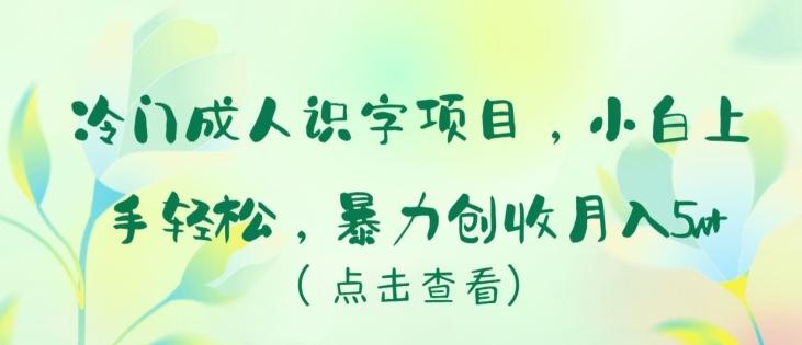 冷门成人识字项目，小白上手轻松，暴力创收月入5w+【揭秘】-搞个副业