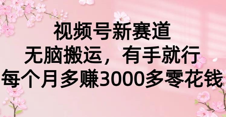 (9278期)视频号新赛道，无脑搬运，有手就行，每个月多赚3000多零花钱-搞个副业