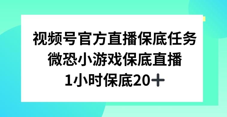 视频号直播任务，微恐小游戏，1小时20+【揭秘】-搞个副业
