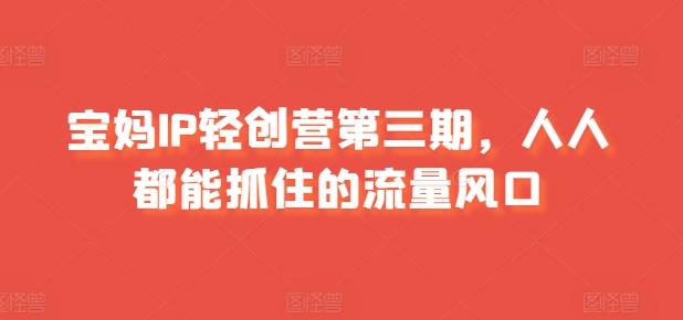 宝妈IP轻创营第三期，人人都能抓住的流量风口-搞个副业