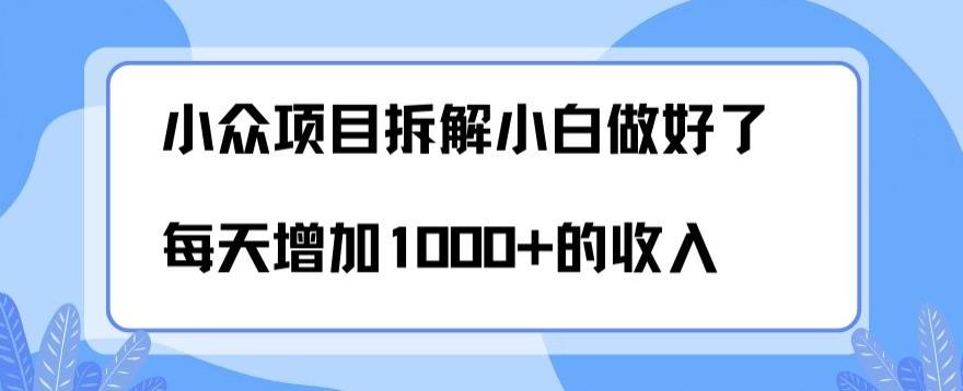 小众项目拆解，小白做好了每天可增加1000多的收入-搞个副业