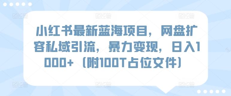 小红书最新蓝海项目，网盘扩容私域引流，暴力变现，日入1000+(附100T占位文件)【揭秘】-搞个副业
