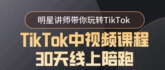 TikTok中视频课程30天线上陪跑，明星讲师带你玩转TikTok-搞个副业