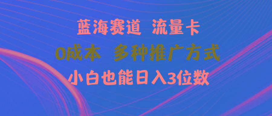 蓝海赛道 流量卡 0成本 小白也能日入三位数-搞个副业