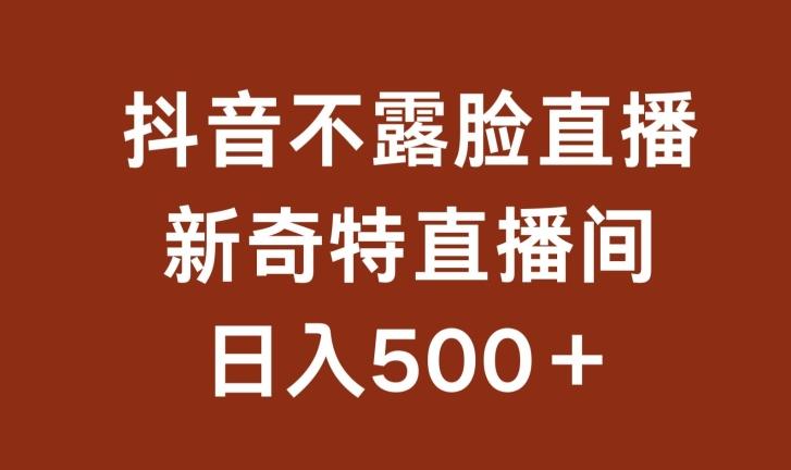 不露脸挂机直播，新奇特直播间，日入500+【揭秘】-搞个副业