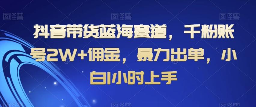 抖音带货蓝海赛道，千粉账号2W+佣金，暴力出单，小白1小时上手【揭秘】-搞个副业