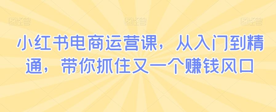 小红书电商运营课，从入门到精通，带你抓住又一个赚钱风口-搞个副业