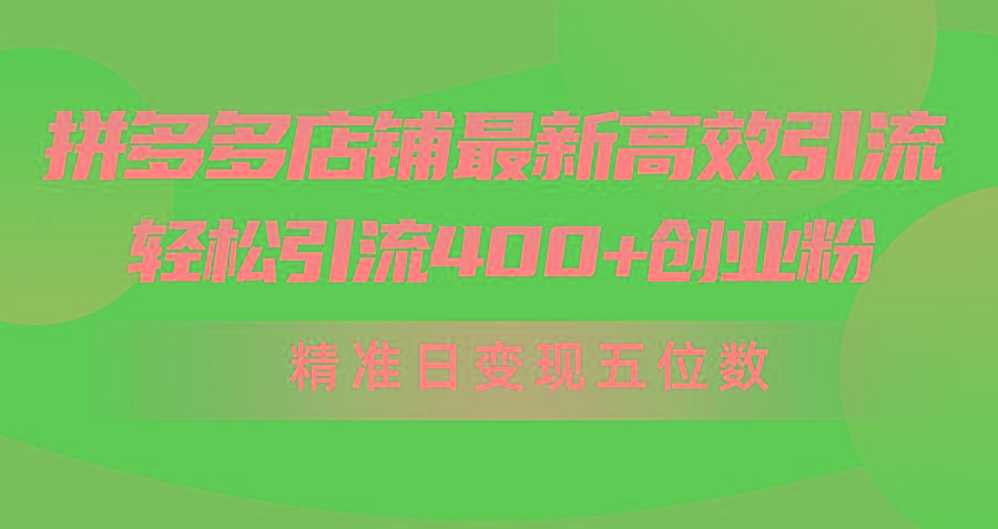 (10041期)拼多多店铺最新高效引流术，轻松引流400+创业粉，精准日变现五位数！-搞个副业