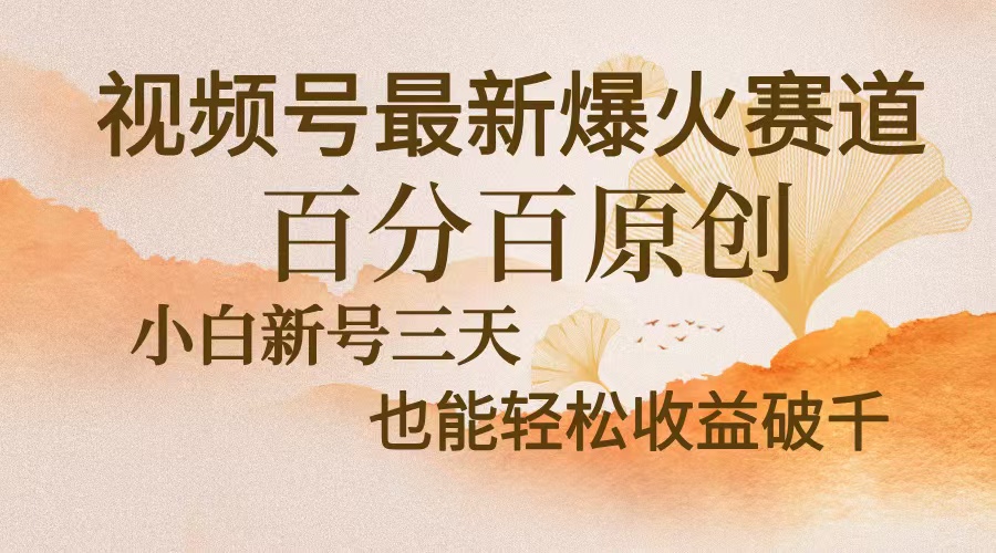 视频号最新爆火赛道，中老年粉深信不疑，百分百原创，新号三天收益轻松…-搞个副业