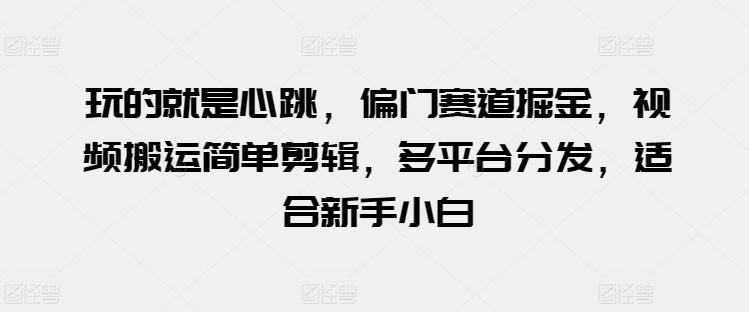 玩的就是心跳，偏门赛道掘金，视频搬运简单剪辑，多平台分发，适合新手小白【揭秘】-搞个副业