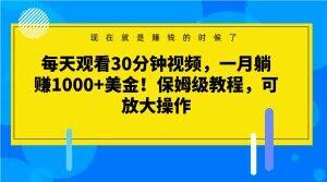 每天观看30分钟视频，一月躺赚1000+美金！保姆级教程，可放大操作【揭秘】-搞个副业
