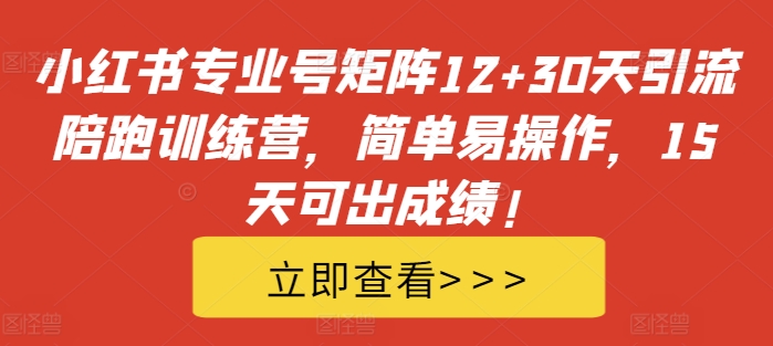 小红书专业号矩阵12+30天引流陪跑训练营，简单易操作，15天可出成绩!-搞个副业