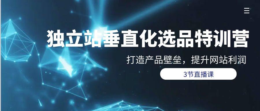 (9925期)独立站-垂直化选品训练营，打造产品壁垒，提升网站利润(3节直播课)-搞个副业