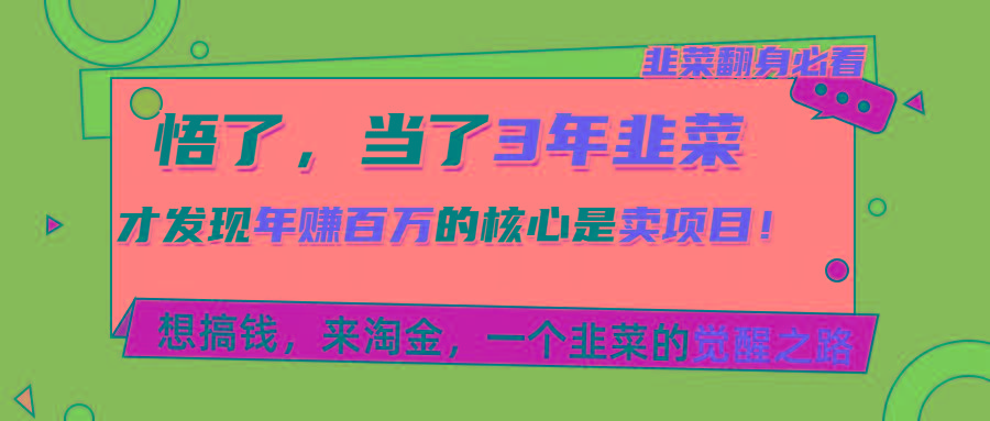 悟了，当了3年韭菜，才发现网赚圈年赚100万的核心是卖项目，含泪分享！-搞个副业