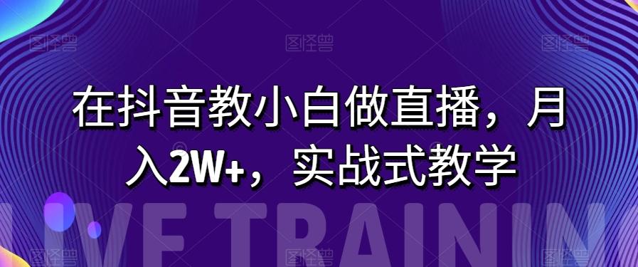 在抖音教小白做直播，月入2W+，实战式教学【揭秘】-搞个副业