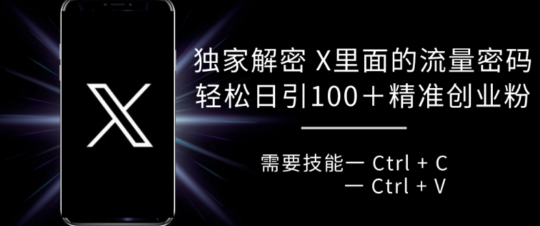 独家解密 X 里面的流量密码，复制粘贴轻松日引100+-搞个副业